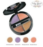 Paleta De Corretivos Jilian Dempsey For Avon